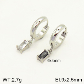 2E4003395vbpb-262  Stainless Steel Earrings