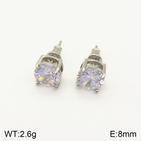 2E4003397bbov-262  Stainless Steel Earrings