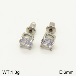 2E4003398bbov-262  Stainless Steel Earrings