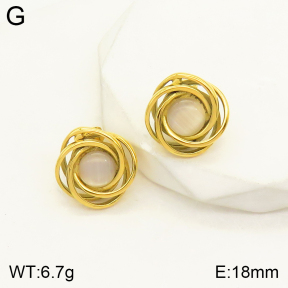 2E4003399bbml-434  Stainless Steel Earrings