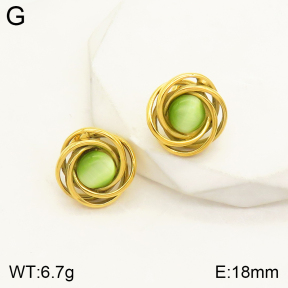 2E4003400bbml-434  Stainless Steel Earrings