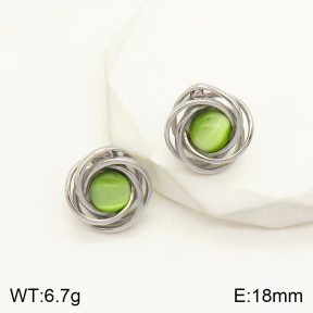 2E4003401vbmb-434  Stainless Steel Earrings