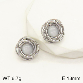 2E4003402vbmb-434  Stainless Steel Earrings