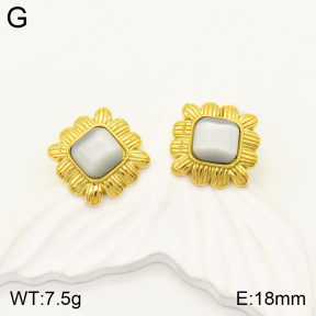 2E4003404vbmb-434  Stainless Steel Earrings