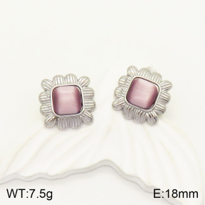 2E4003406vbll-434  Stainless Steel Earrings