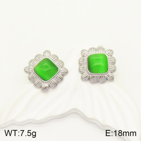 2E4003407vbll-434  Stainless Steel Earrings