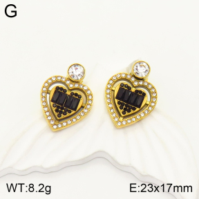 2E4003408bvpl-434  Stainless Steel Earrings