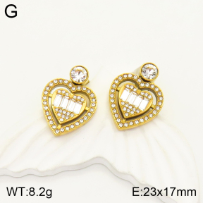 2E4003410bvpl-434  Stainless Steel Earrings