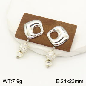 2E4003413vbnb-434  Stainless Steel Earrings