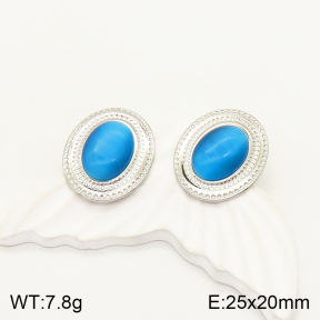 2E4003414vbll-434  Stainless Steel Earrings