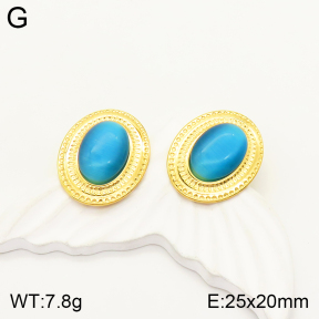 2E4003415vbmb-434  Stainless Steel Earrings