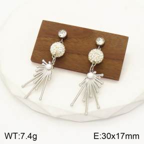 2E4003419bbml-434  Stainless Steel Earrings