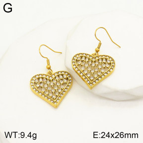 2E4003421bvpl-434  Stainless Steel Earrings