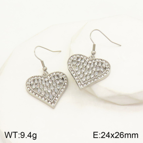 2E4003422vbpb-434  Stainless Steel Earrings