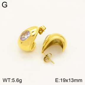 2E4003423vbll-434  Stainless Steel Earrings