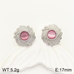 2E4003429vbll-434  Stainless Steel Earrings