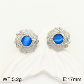 2E4003430vbll-434  Stainless Steel Earrings