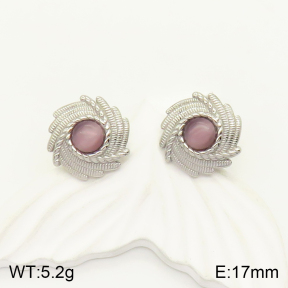 2E4003431vbll-434  Stainless Steel Earrings