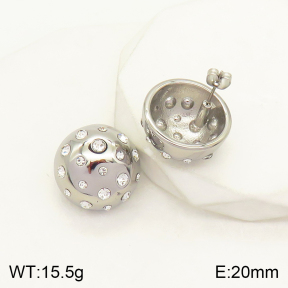 2E4003432bhbl-497  Stainless Steel Earrings