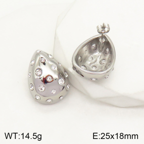 2E4003434bhbl-497  Stainless Steel Earrings