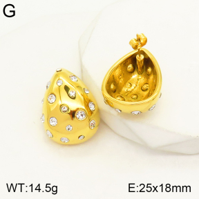 2E4003435vhhl-497  Stainless Steel Earrings