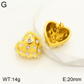 2E4003437vhhl-497  Stainless Steel Earrings