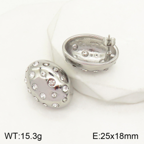 2E4003438bhbl-497  Stainless Steel Earrings