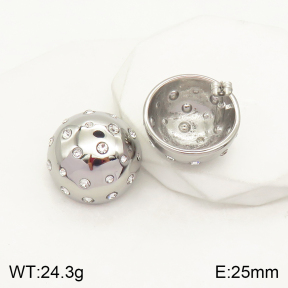 2E4003440bhbl-497  Stainless Steel Earrings