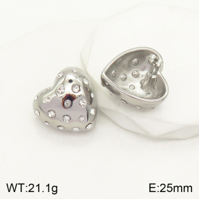 2E4003442bhbl-497  Stainless Steel Earrings