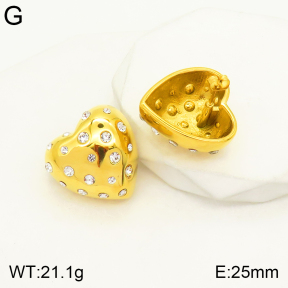 2E4003443vhhl-497  Stainless Steel Earrings