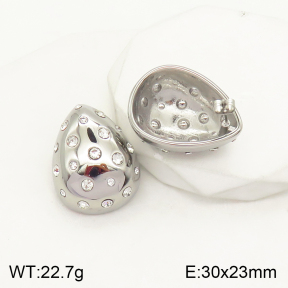 2E4003444bhbl-497  Stainless Steel Earrings