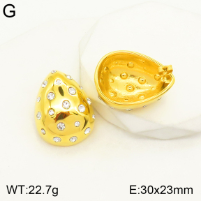 2E4003445vhhl-497  Stainless Steel Earrings