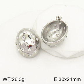 2E4003446bhbl-497  Stainless Steel Earrings