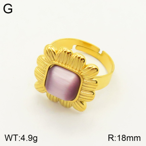 2R4000878vbll-434  Stainless Steel Ring