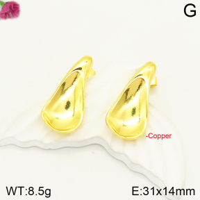 F2E201018vbll-J163  Fashion Copper Earrings