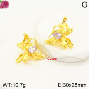 F2E401282bhva-J163  Fashion Copper Earrings