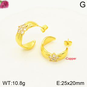 F2E401292vbnl-J163  Fashion Copper Earrings