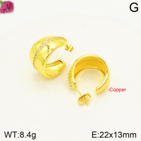 F2E401296vbnl-J163  Fashion Copper Earrings