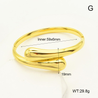 GEB000500ahjb-113  Stainless Steel Bangle