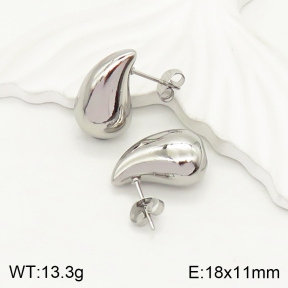 2E2004171vbmb-393  Stainless Steel Earrings