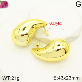 F2E300653aakl-J138  Acrylic  Fashion Earrings