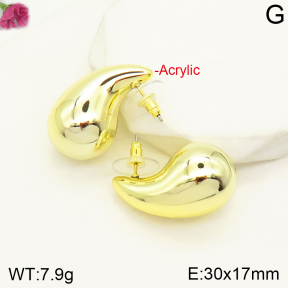 F2E300655avja-J138  Acrylic  Fashion Earrings