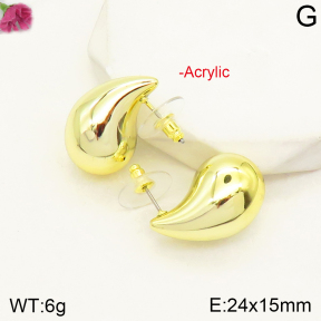 F2E300657vail-J138  Acrylic  Fashion Earrings