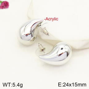 F2E300658vail-J138  Acrylic  Fashion Earrings