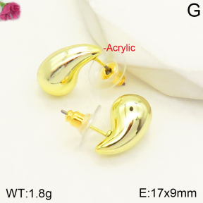 F2E300659vail-J138  Acrylic  Fashion Earrings