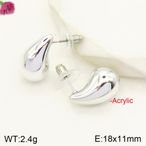 F2E300660vail-J138  Acrylic  Fashion Earrings