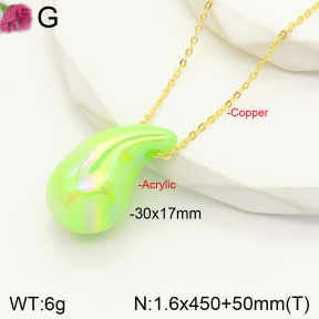 F2N300150aajl-J138  Acrylic  Fashion Necklace