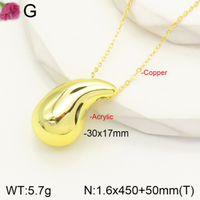 F2N300153aajl-J138  Acrylic  Fashion Necklace