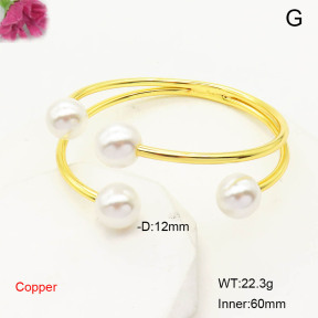 F6BA30217bhva-L017  Fashion Copper Bangle