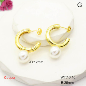 F6E301820ablb-L017  Fashion Copper Earrings